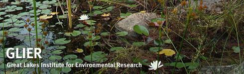 Great Lakes Institute for Environmental Research Publications