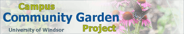 Campus Community Garden Project