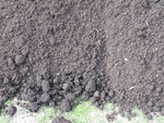 Organic Compost Donated by Essex-Windsor Solid Waste Authority