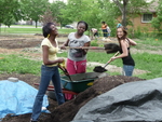 Young Women of W5 Building Potato Bed