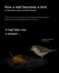 How a Leaf Becomes a Bird by Dante Aluccio Bresolin