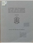 Fifteen Year Programme for the Urban Renewal of the City of Windsor and its Metropolitan Area by Faludi, E. G. And Associates