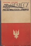 Odsiecz Fighting Poland, Volume 1, 1941 by Polish Armed Forces